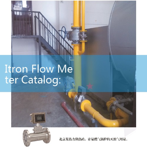 Itron Flow Meter Catalog: Commercial and Industrial Water Utility Billing Systems Sizing and AMR Modules